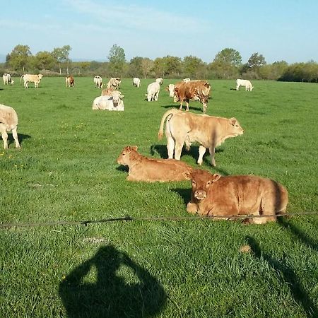 Appartamento La Ferme Du Nizon Valeille Esterno foto