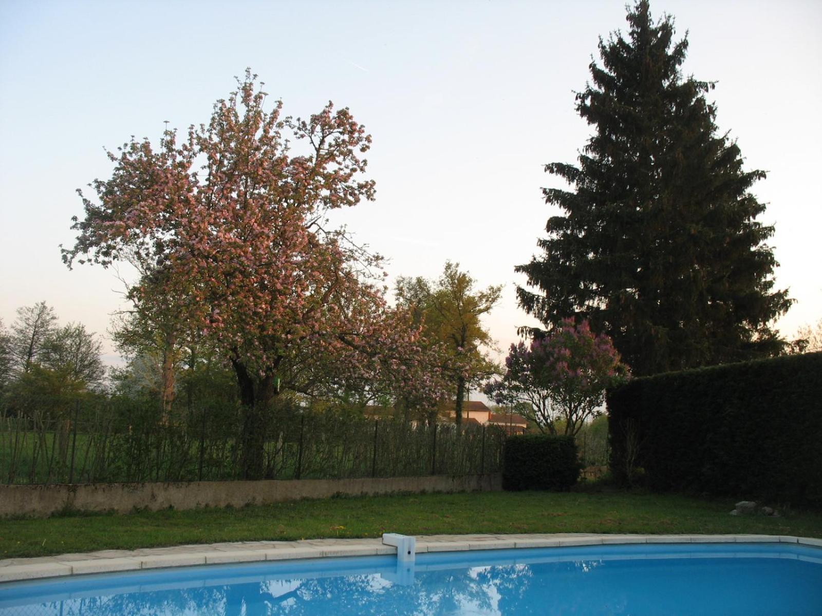 Appartamento La Ferme Du Nizon Valeille Esterno foto