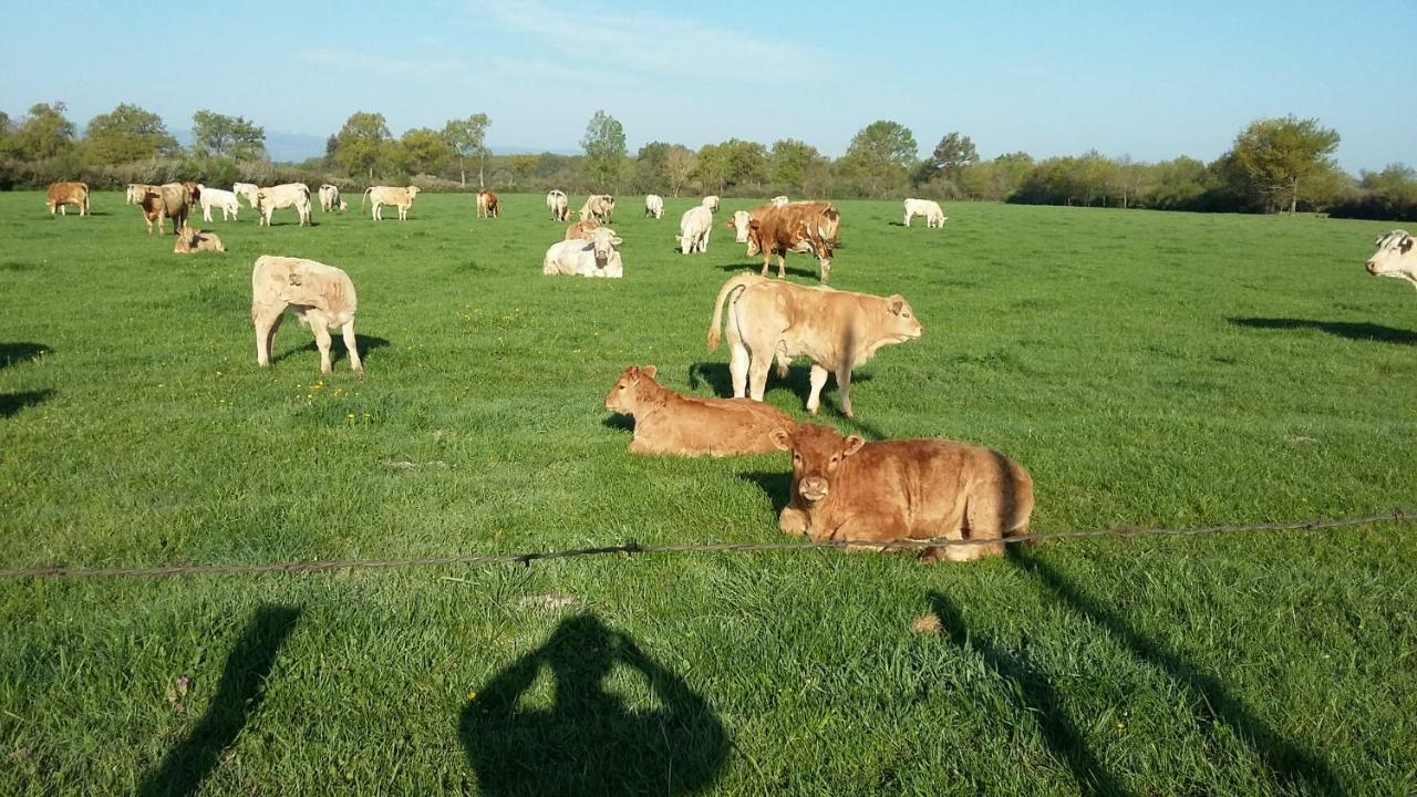 Appartamento La Ferme Du Nizon Valeille Esterno foto