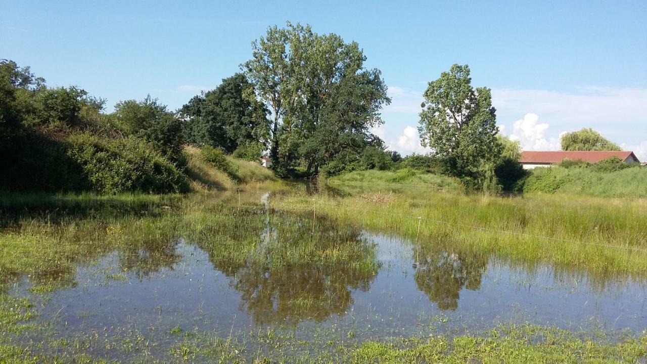Appartamento La Ferme Du Nizon Valeille Esterno foto